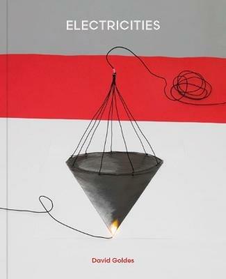 Electricities. Ediz. illustrata - David Goldes - copertina