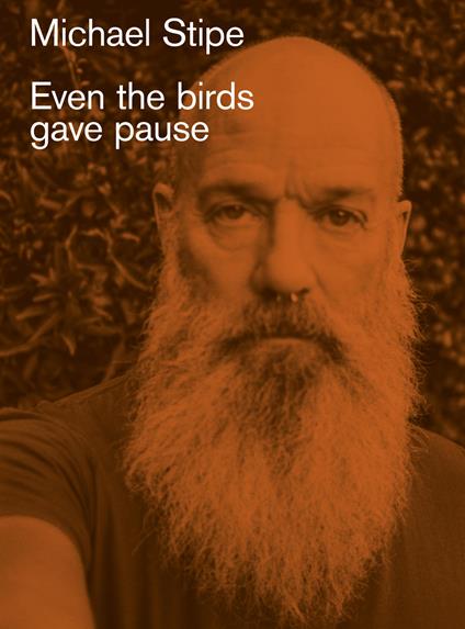Even the birds gave pause - Michael Stipe - copertina