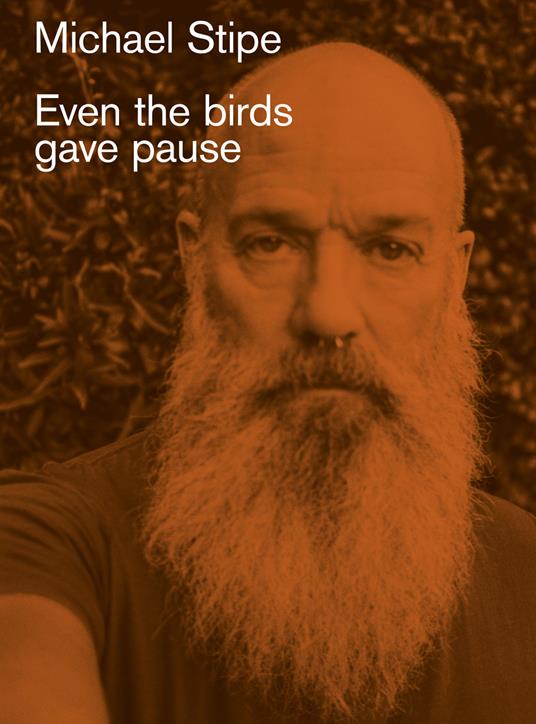 Even the birds gave pause - Michael Stipe - copertina