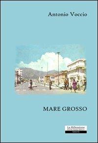 Mare grosso - Antonio Voccio - copertina