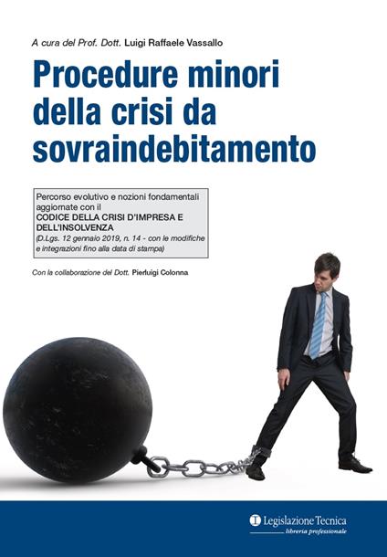 Procedure minori della crisi da sovraindebitamento. Percorso evolutivo e nozioni fondamentali aggiornate con il Codice della crisi d'impresa e dell'insolvenza - Luigi Raffele Vassallo - copertina