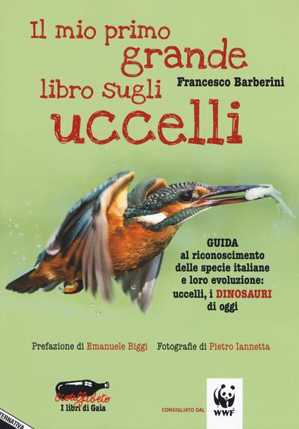Il mio primo grande libro sugli uccelli. Guida al riconoscimento delle specie italiane e loro evoluzione: uccelli, i dinosauri di oggi - Francesco Barberini - copertina