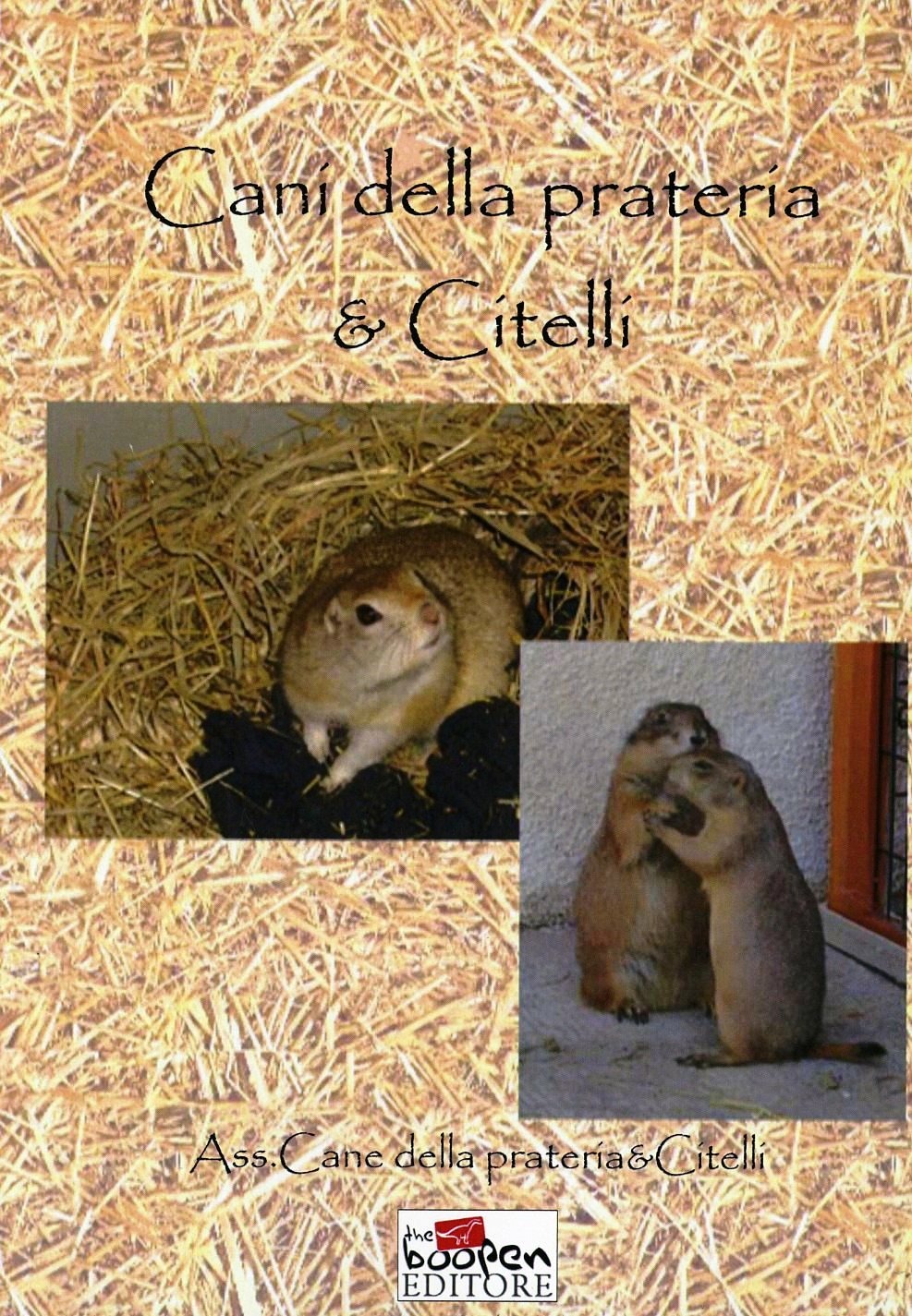 Libreria Internazionale Romagnosi snc