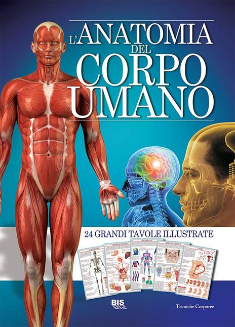 L'anatomia del corpo umano - 2
