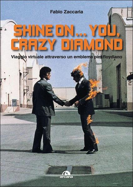 Shine on... you, crazy diamond. Viaggio virtuale attraverso un emblema pinkfloydiano - Fabio Zaccaria - copertina
