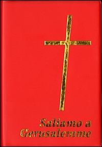 Saliamo a Gerusalemme. Con cartina - copertina