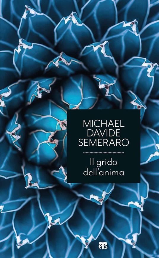 Il grido dell'anima. I sette salmi penitenziali e le ultime parole di Gesù - MichaelDavide Semeraro - ebook