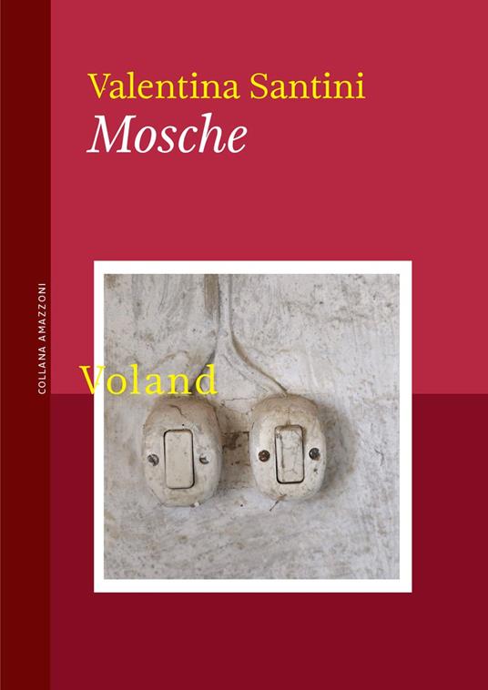 Mosche - Valentina Santini - copertina
