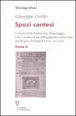 Spazi contesi. Camera della Sommaria, baronaggio, città e costruzione dell'apparato territoriale del Regno di Napoli (secc. XV-XVIII). Vol. 2