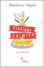 Reazione chimica. Renato Ugo e l'avventura della Montedison da Giulio Natta a Raul Gardini