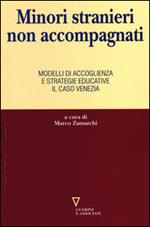 Minori stranieri non accompagnati. Modelli di accoglienza e strategie educative: il caso Venezia