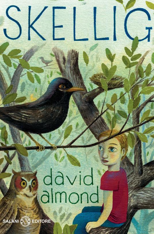 Skellig. Ediz. speciale - David Almond - copertina