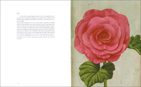 Una storia d'amore. Due vite legate dai fiori. Ediz. illustrata - François Morel,Martin Jarrie - 2