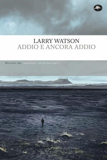 Addio e ancora addio - Larry Watson - copertina
