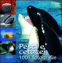 Pesci e cetacei. Ediz. illustrata - copertina