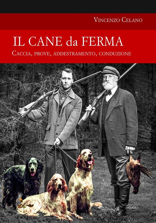 Il cane da ferma - Vincenzo Celano - copertina