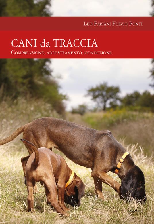 Cani da traccia. Comprensione, addestramento, conduzione - Leo Fabiani,Fulvio Ponti - copertina