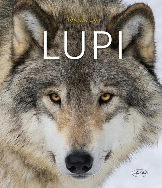 Lupi - Tom Jackson - copertina