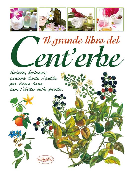 Il grande libro del Cent'erbe - copertina