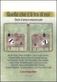 Quello che c'è tra di noi. Storie d'amore omosessuale - copertina