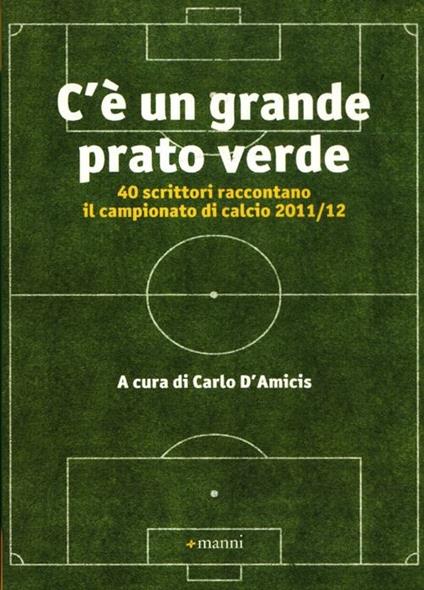 C'è un grande prato verde. 40 scrittori raccontano il campionato di calcio 2011/12 - copertina