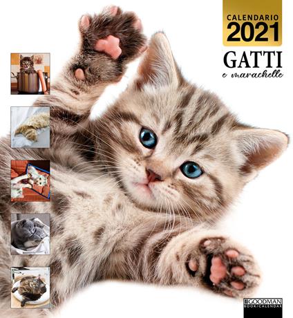 Gatti e marachelle. Calendario 2021 - copertina