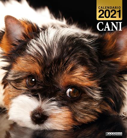 Cani. Calendario 2021 - copertina