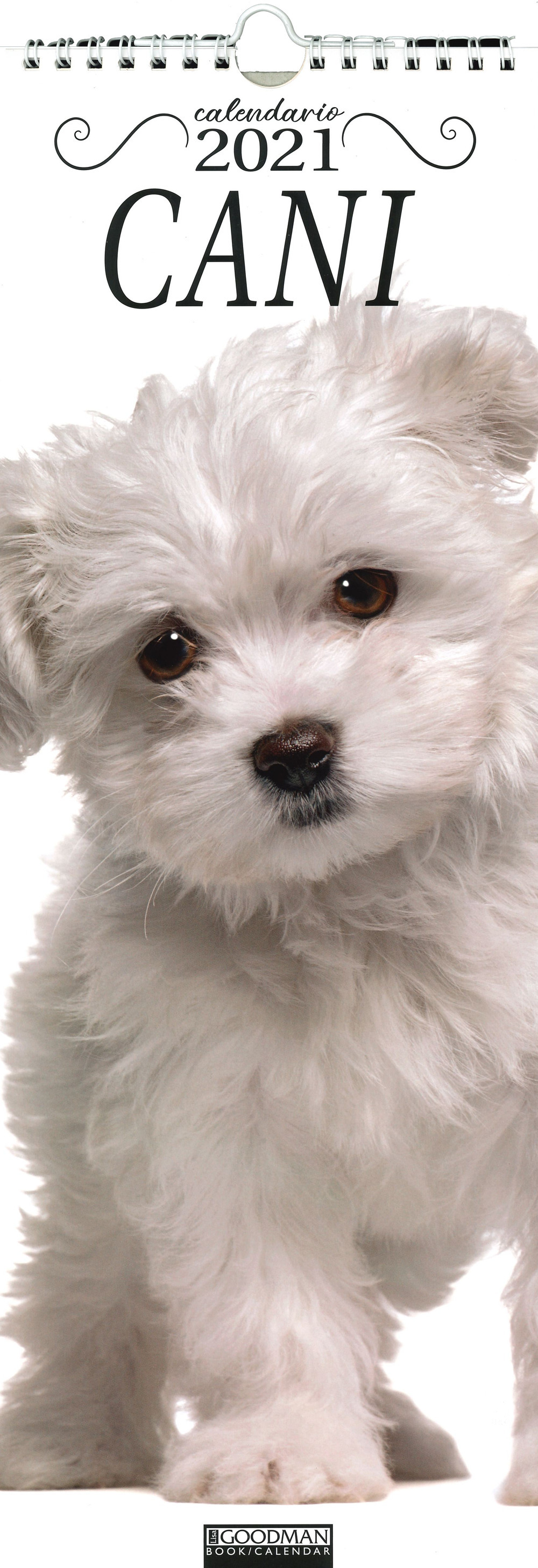 Antica Libreria Goggia