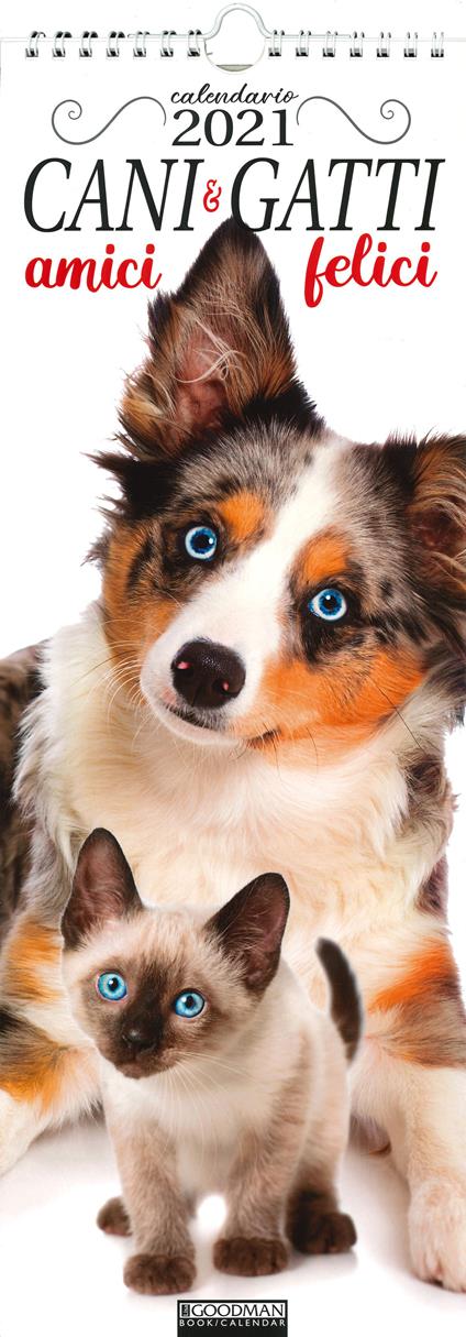 Cani & gatti amici felici. Calendario 2021 - copertina