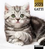 Calendario Gatti 2023 Magnum