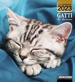Calendario Gatti che Dormono 2023