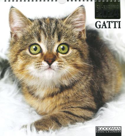 Gatti. Calendario 2024. Magnum - copertina