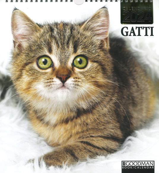Gatti. Calendario 2024. Magnum - copertina
