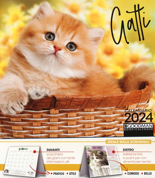Gatti. Calendario 2024. Pocket - copertina