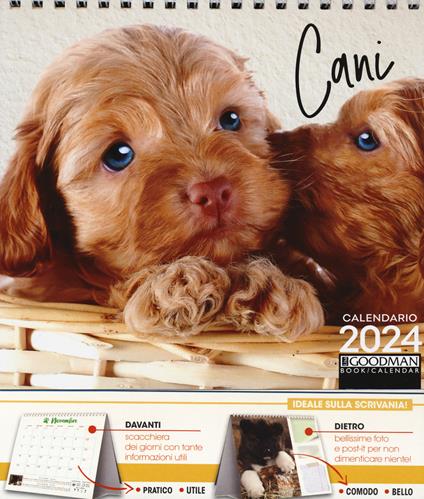 Cani. Calendario 2024. Pocket - copertina