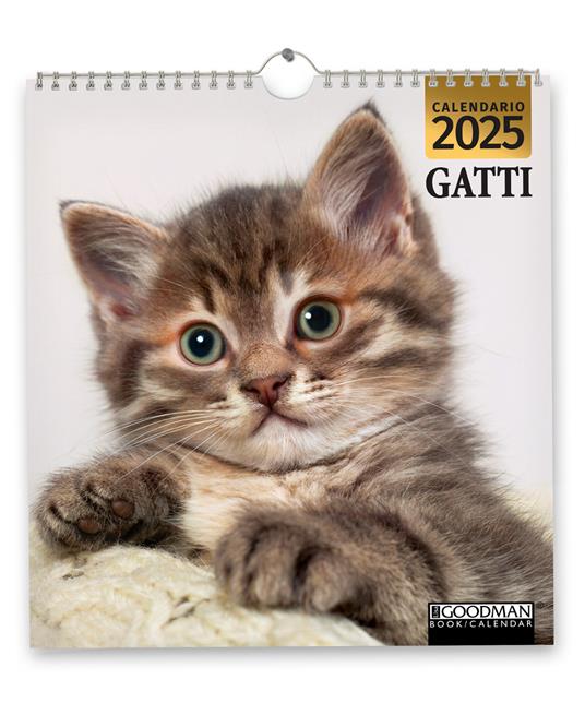 Gatti. Calendario 2025. Magnum - copertina