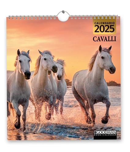 Cavalli. Calendario 2025 - copertina