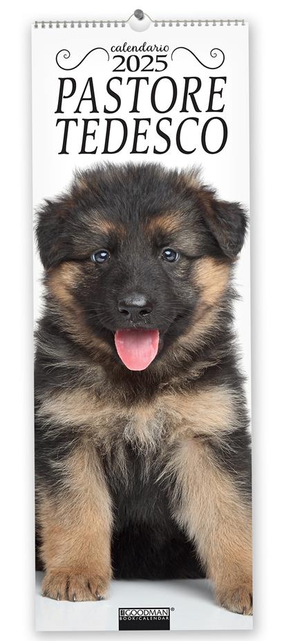 Pastore tedesco. Calendario 2025. Long - copertina