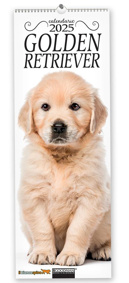 Golden Retriever. Calendario 2025. Long - copertina