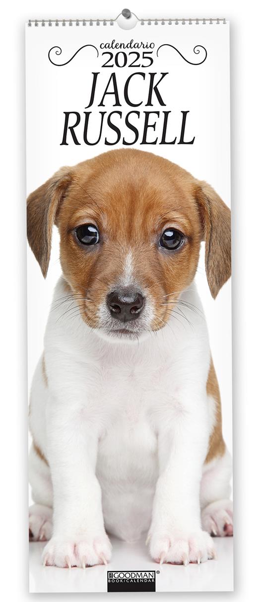 Jack Russel. Calendario 2025. Long - copertina