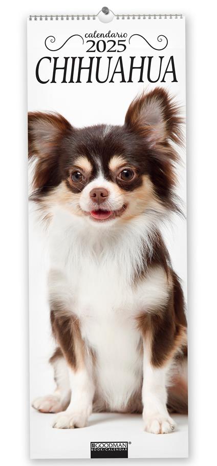 Chihuahua. Calendario 2025. Long - copertina