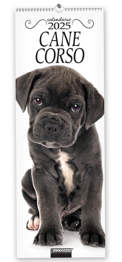 Cane corso. Calendario 2025. Long - copertina