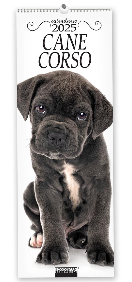 Cane corso. Calendario 2025. Long - copertina