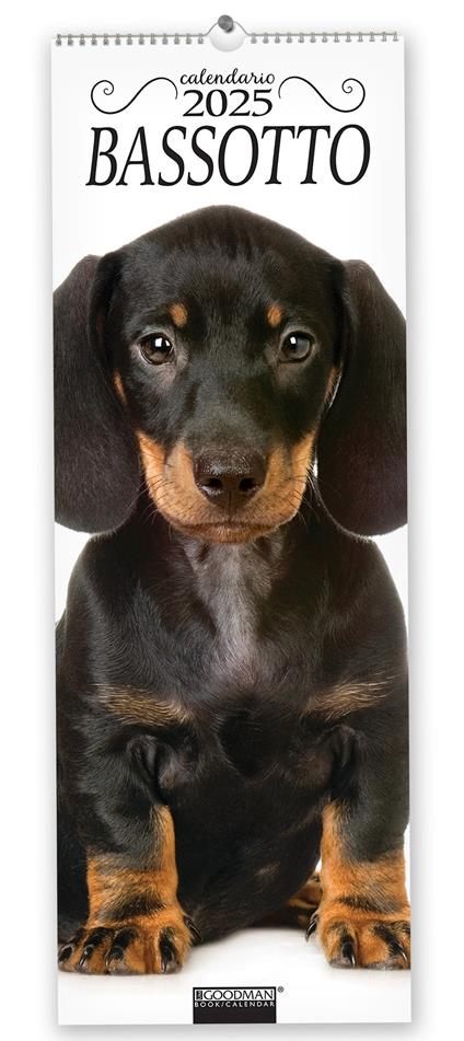 Bassotto. Calendario 2025. Long - copertina