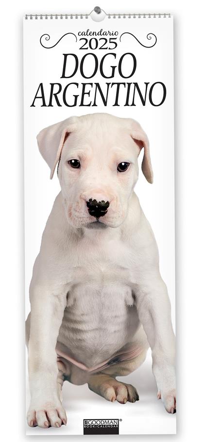 Dogo Argentino. Calendario 2025. Long - copertina