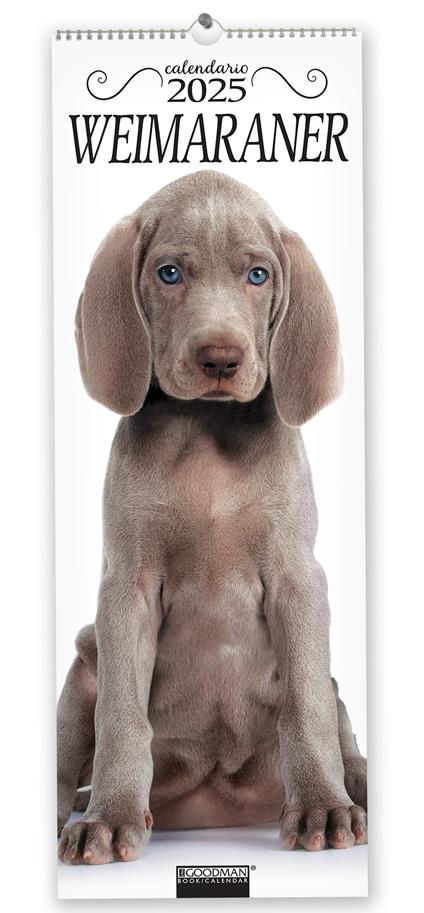 Weimaraner. Calendario 2025. Long - copertina