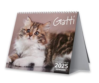 Gatti. Calendario 2025. Pocket - copertina