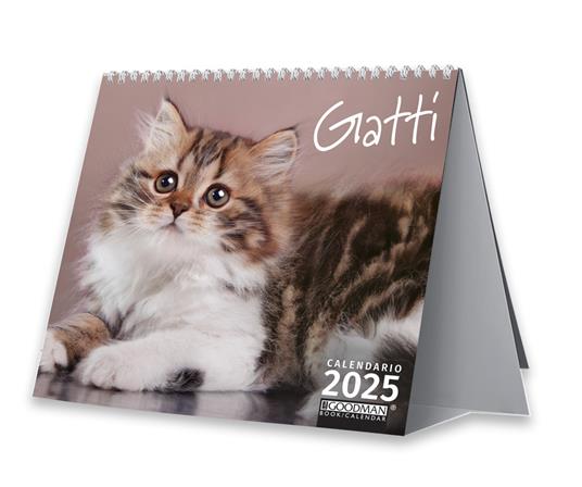 Gatti. Calendario 2025. Pocket - copertina