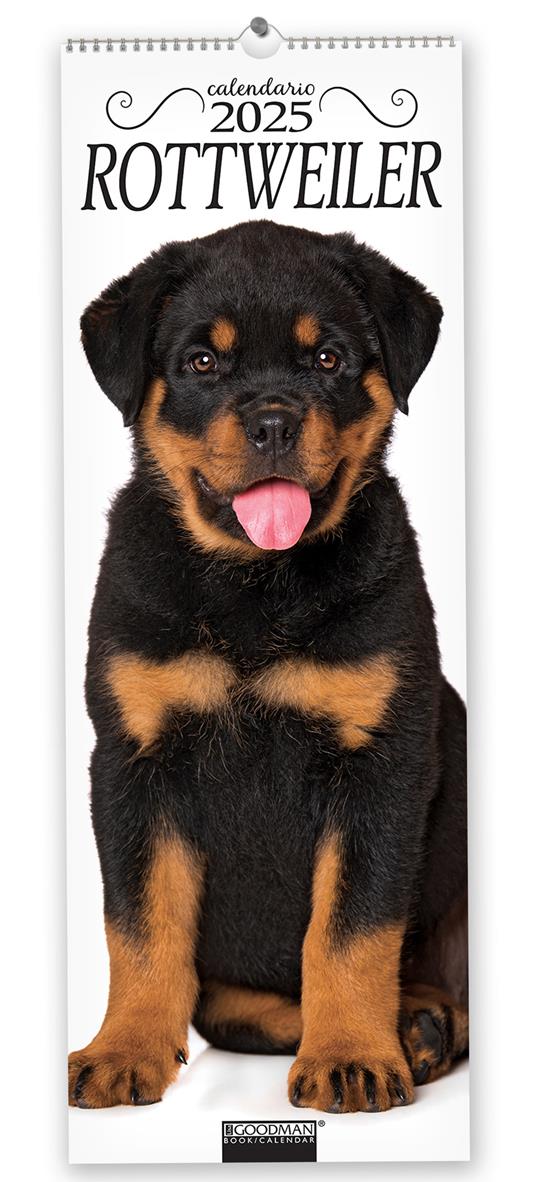 Rottweiler. Calendario 2025. Long - copertina