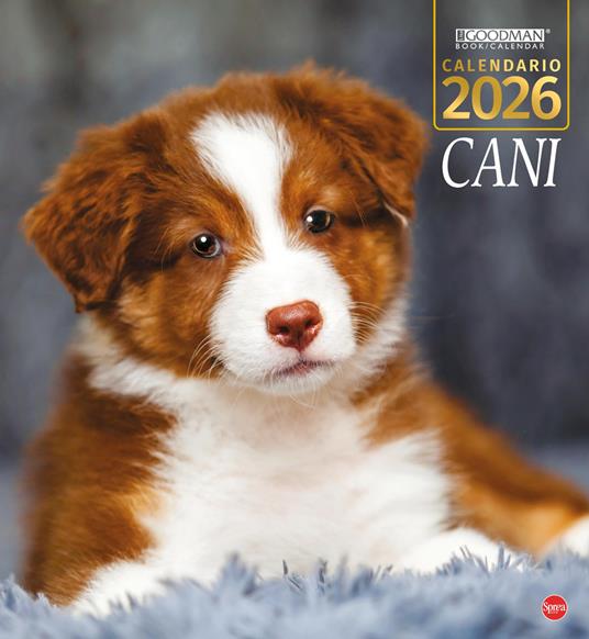 Cani. Calendario 2026. Magnum - copertina